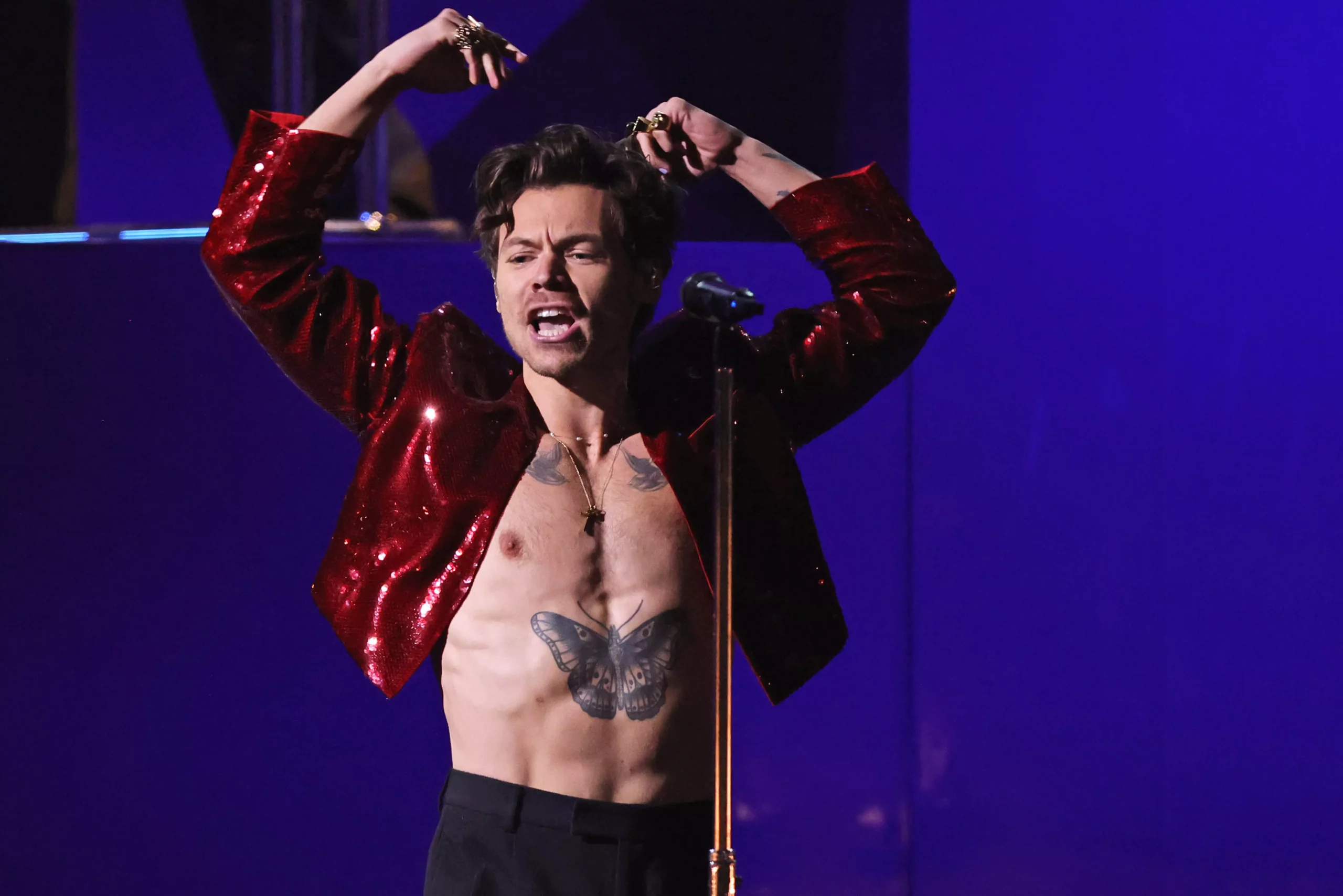 Harry Styles 2027 2x live in Berlin (aber nicht im Olympiastadion)